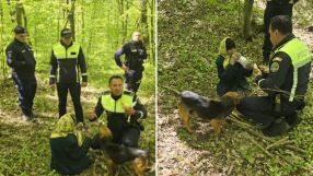 94-годишна жена изчезва, след като отива да бере коприва и гъби. Откриха я след два дни (СНИМКИ)