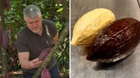 Българин в Тоскана превърна бисквитна фабрика в лаборатория за занаятчийски шоколад