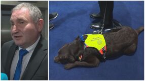 Куче е 241-вият народен представител в 52-рият парламент (ВИДЕО)