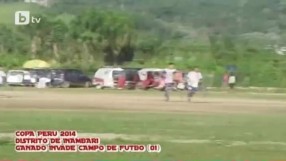 Крави прекъснаха мач в Южна Америка (ВИДЕО)