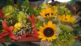 Медалистите ни от Тбилиси се завърнаха в България (ВИДЕО)