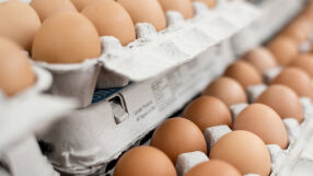 Внимание за яйцата! Защо е забранено да ги слагате на вратата на хладилника