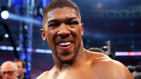 Джошуа: Наред е Пулев, Ортис ще чака