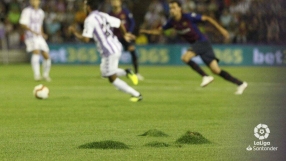 Безобразен терен ядоса 