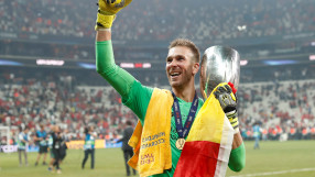 Феновете на 