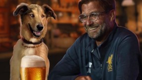 Клоп звънна на ново попълнение, за да му покаже кучето си (ВИДЕО)