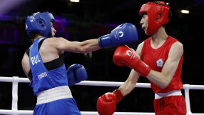 Каменова на сбогуване: Изследвайте я за хромозоми!