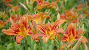 Какво е значението на имената Евстати и Евстатия?