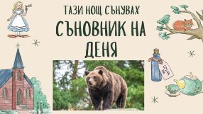Съновник: Какво означава да сънувате мечка