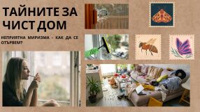 Миризма от цигари у дома - ето как да се отървем 