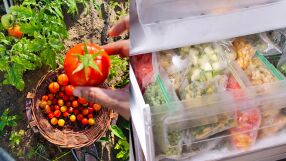 Как да замразите правилно домати, без да се промени вкуса им и да станат воднисти