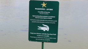 Крокодил уби голфър в Южна Африка