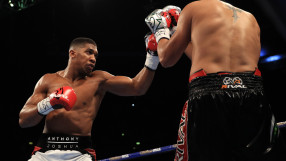 Джошуа нокаутира и Молина пред погледа на Кличко (ГАЛЕРИЯ)