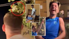 Птица нацвъка английски национал (ВИДЕО)