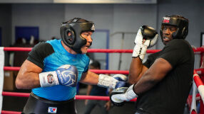 Колко олимпийски медала има във фамилия Пулеви? (АНКЕТА)