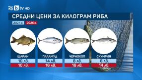 Каква е цената на най-търсените риби за Никулден?