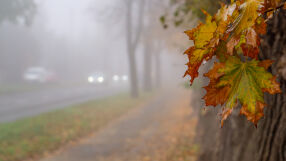 Времето на 4 декември: Мъгливо утро и необичайно високи температури