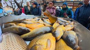 Каква е разликата в цената между готовата и суровата риба на Никулден? 