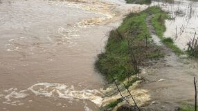 Дворни места и къщи са наводнени в созополското село Зидарово