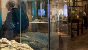 Над 600 предмета бяха откраднати от музей в Бристол, Англия