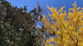 По-ниски дневни температури в събота – между 6 и 11 градуса