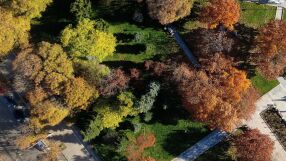 През следващата седмица времето у нас ще остане почти без валежи