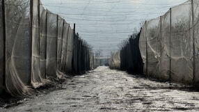 Украинският военен говорител: Руските войски са блокирани в северната част на Купянск