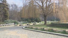 Коледа, но не бяла: И тази година снежен човек ще има само в детските рисунки