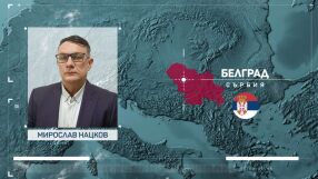 Балканският картел: Какво ще се промени след освобождаването на Сретен Йосич 