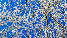 Астрономическата зима идва с превалявания от дъжд и температури до 12°