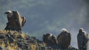 Когато природата среща изкуството