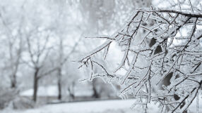 Ще има ли бяла Коледа? Симеон Матев с прогноза за времето по празниците