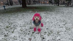 Бяла Коледа: Сняг вали в цялата страна (СНИМКИ)