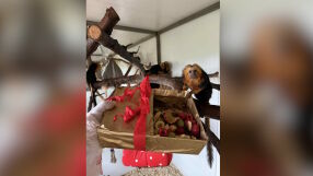 Дядо Коледа раздаде подаръци в зоопарка в Бургас (СНИМКИ и ВИДЕО)