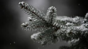 Ветровито и студено на Стефановден