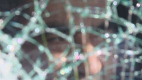 Вандалски акт: Полицията издирва мъж, хвърлил дърво по автобус в София