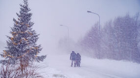 Зимна буря остави без ток десетки хиляди хора в Швеция