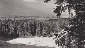 От Чамкория до Боровец: Как е възникнал един от най-големите ни ски курорти?