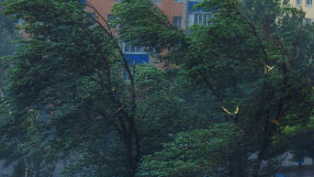 Вятър със скорост 90 км/ч вятър в Сливен, предупредиха шофьорите да внимават на пътя