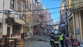 Силен вятър мобилизира пожарната в Пловдивско, близо 20 сигнала за паднали дървета