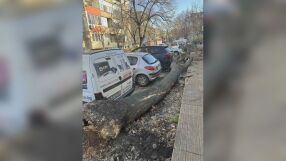 Ураганни ветрове: В Габровско, Плевенско и Пловдивско има паднали дървета