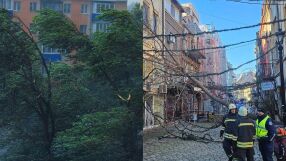 На общо 159 сигнала в цялата страна са реагирали екипите на пожарната заради силния вятър