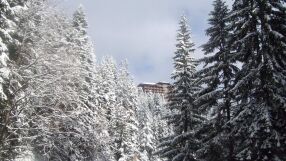 Повдигат обвинение на сина на Атанас Бобоков за притежание на наркотици с цел разпространение