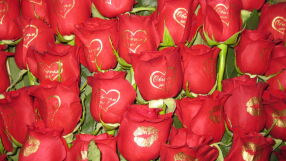 Цветна романтика: Топ 5 на най-подходящите цветя за Свети Валентин