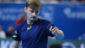 Давид Гофен: Поздрави, Гришо!