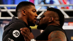 Във вторник обявяват следващия съперник на Джошуа 