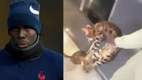 Възмутително! Играч от Висшата лига рита котката си като топка (ВИДЕО)