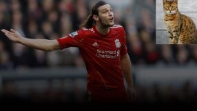 Даде 1000 паунда за екзотична котка, разкара я за две седмици