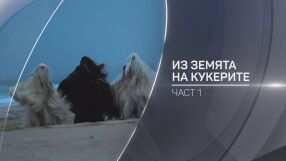 „bTV Разказва“: Из земята на кукерите (Част I)