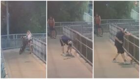 Отровна змия вдигна в паника сред пътниците на жп гара в Сидни